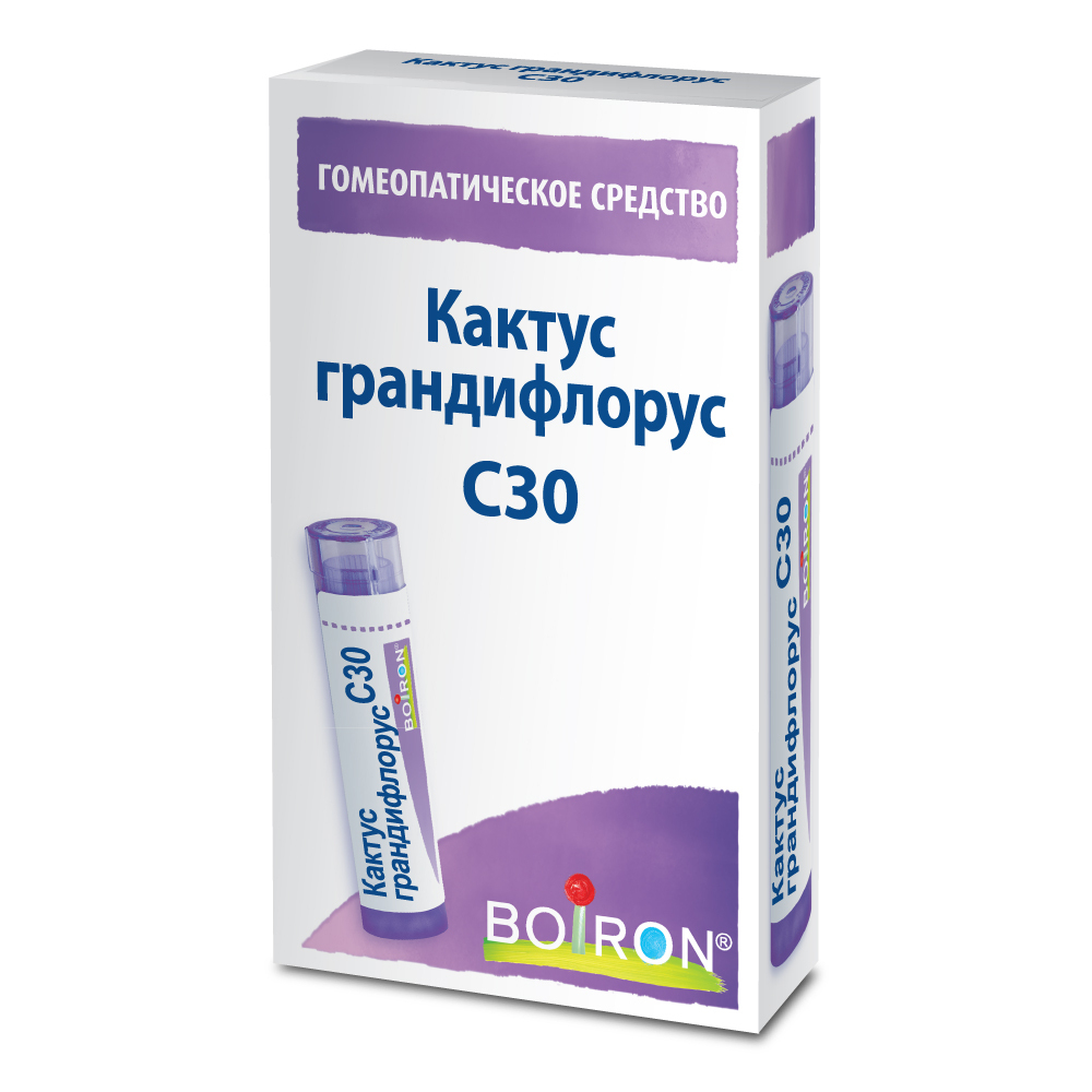 Кактус грандифлорус (Cactus grandiflorus) C30 Буарон