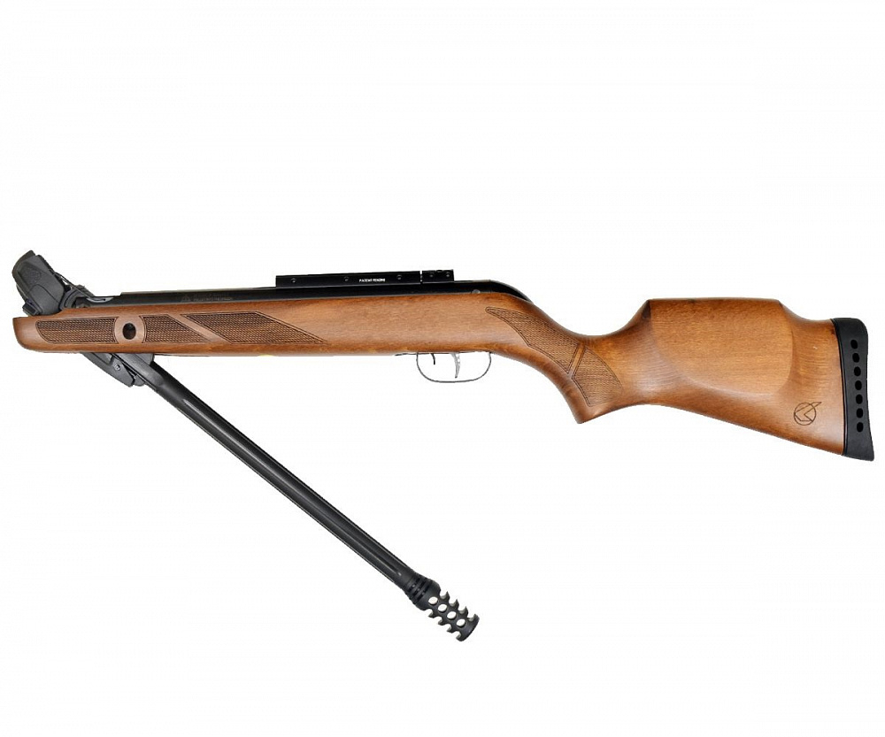 Винтовка пневматическая GAMO Fast Shot 10x (3 дж)