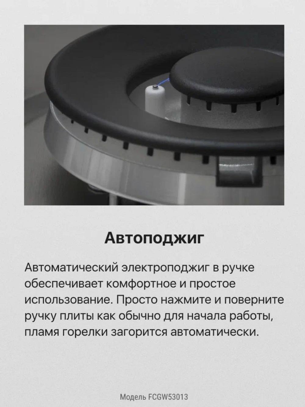 Газовая плита Hansa FCGW53013