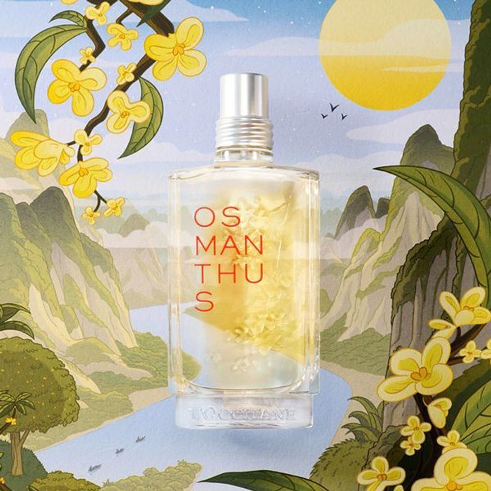 L'Occitane en Provence Osmanthus