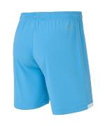 Шорты игровые Jogel DIVISION PerFormDRY Union Shorts-K, голубой S2