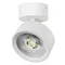 Спот Alta Pro A5636SO Lightstar