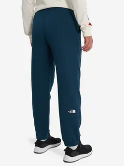 Брюки спортивные мужские THE NORTH FACE M PANT VARSITY GRAPHIC