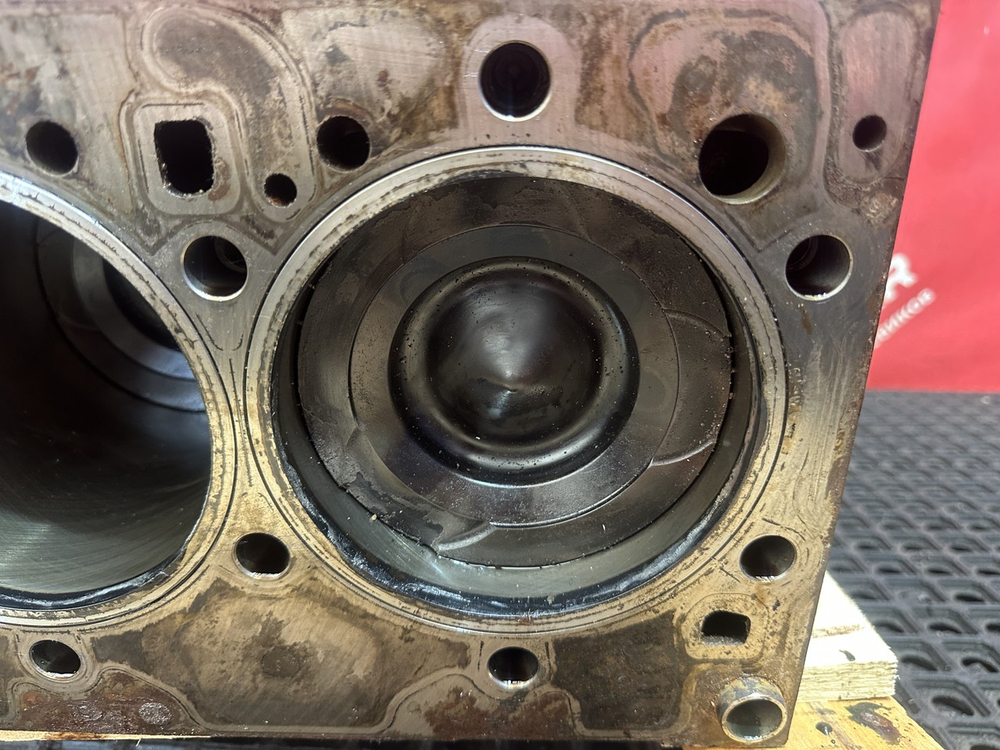 Шорт-блок 2024г.