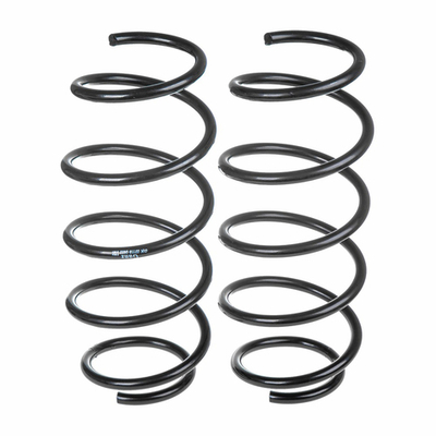 Пружины GANZ передние L=R FORD Fusion 06.2002 - 01.2004 (комплект 2 шт.) Арт.: GIK02118