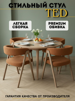 Стул мягкий для кухни TED кресло для дома