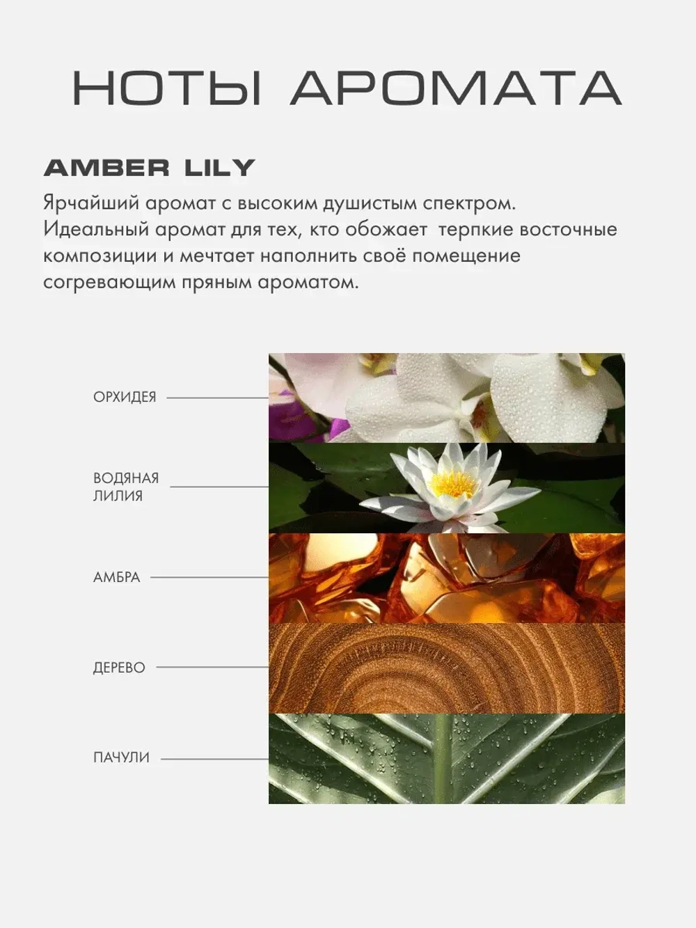 Свеча ЯНТАРНАЯ ЛИЛИЯ (AMBER LILY)