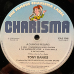 Tony Banks ‎– A Curious Feeling (Англия 1979г.)