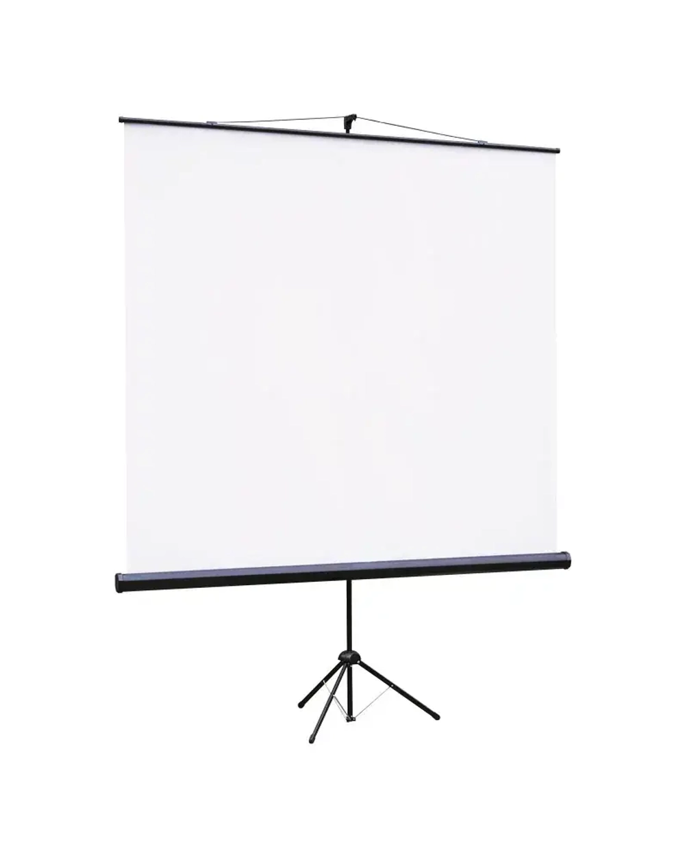 Экран на штативе Lumien 160x160 см (1:1) LEV-100105