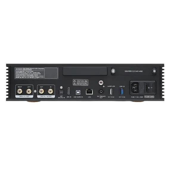 Aurender A1000 2TB Black