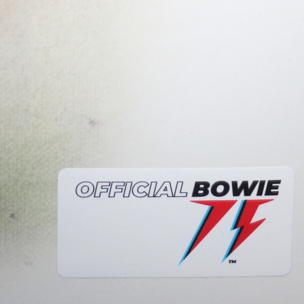 David Bowie / 1. Outside (The Nathan Adler Diaries: A Hyper Cycle)(2LP)