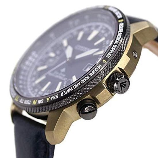 Наручные часы Citizen CB0204-14L