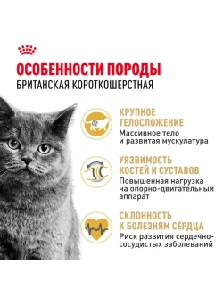 British Shorthair Корм для кошек 2кг