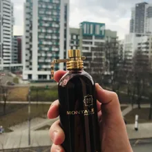 Montale Aoud Forest