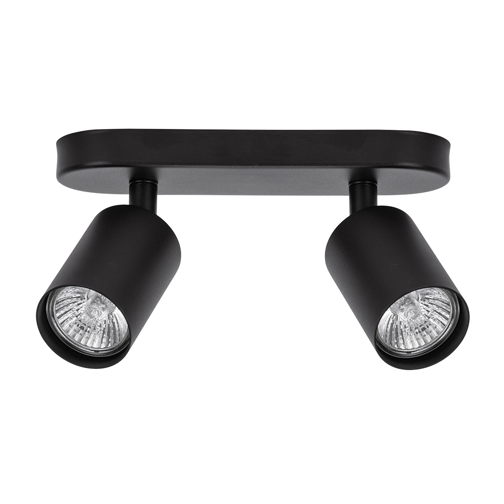 Настенно-потолочный светильник Arte Lamp AQUARIUS A3226PL-2BK