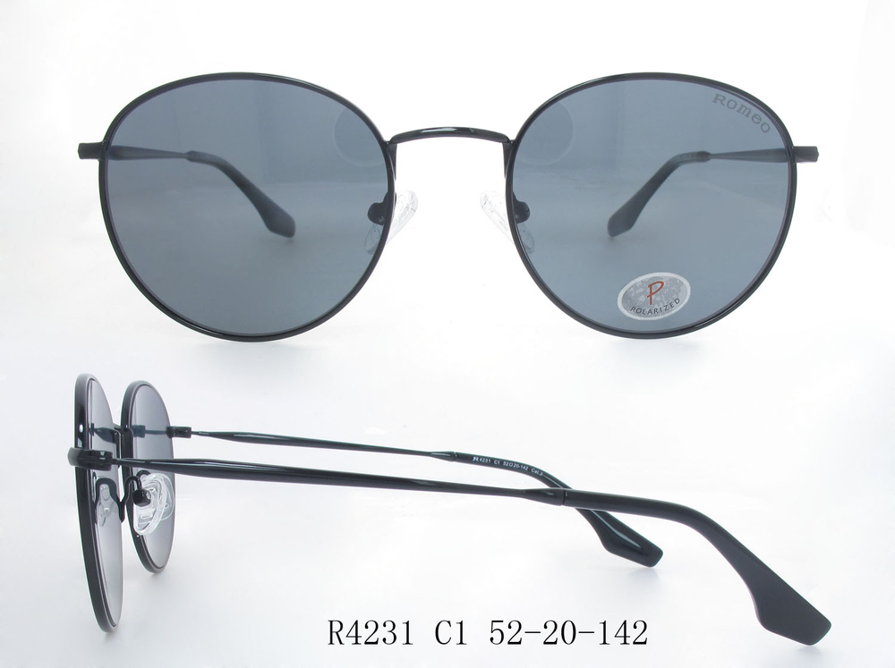 R4231