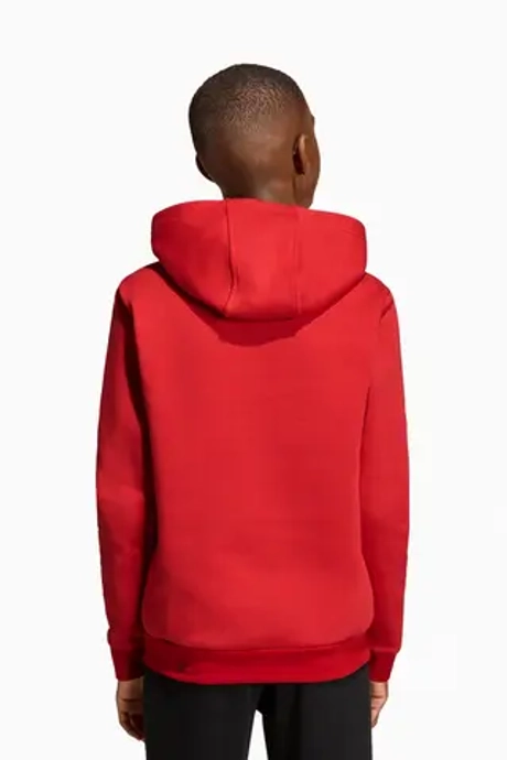 Кофта adidas Entrada 26 Sweat Junior - красный