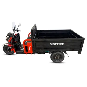 Грузовой электрический трицикл WHITE SIBERIA SIBTRIKE CARGO 1.8 3000W (60V/62Ah) фото №6