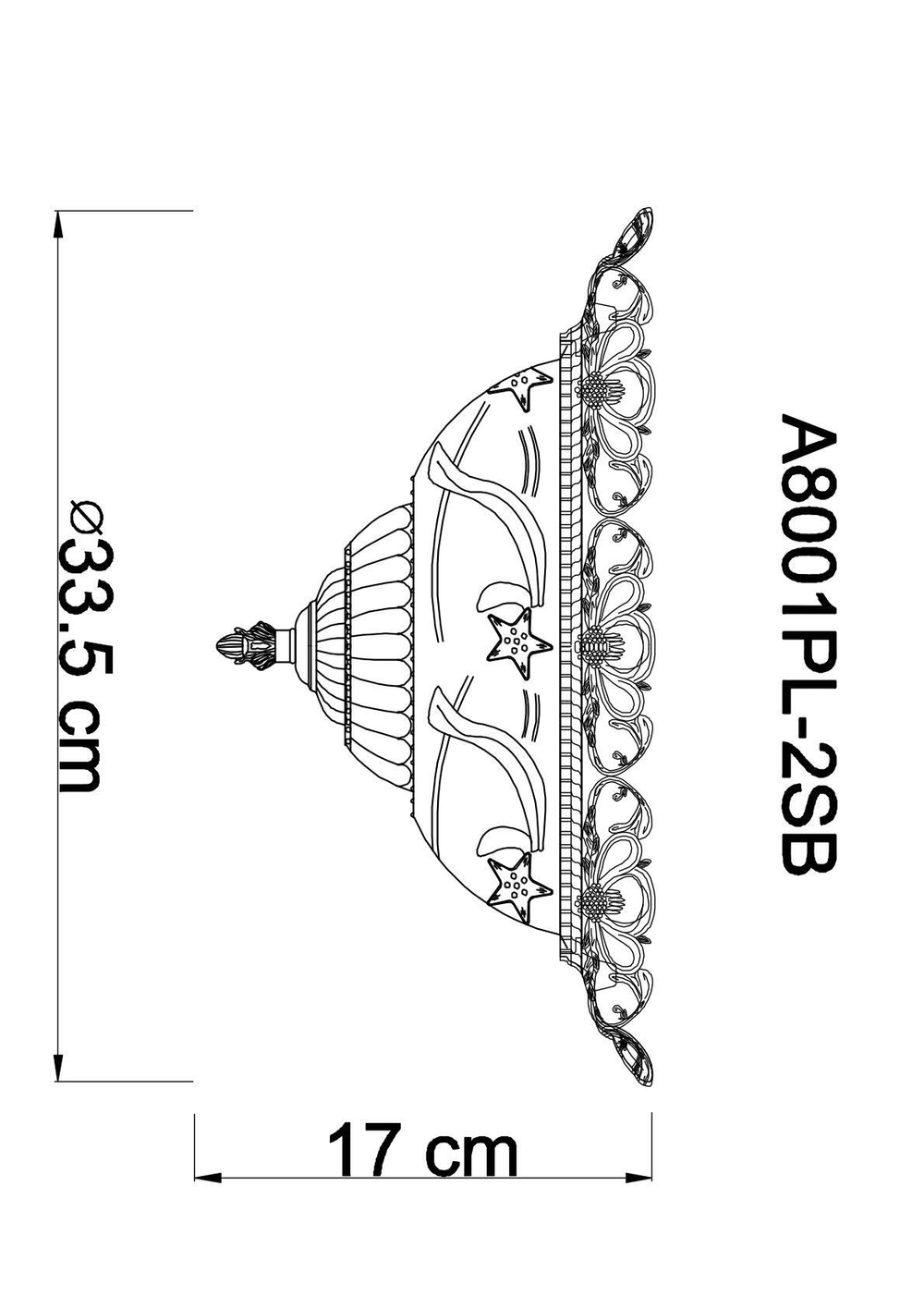 Светильник потолочный Arte Lamp Piatti A8001PL-2SB