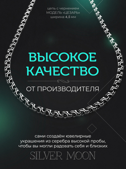 Silver Moon Цепочка Цезарь серебряная черненая, ширина 4,5 мм