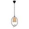 Подвесной светильник Loft IT Birds Loft1029A-1