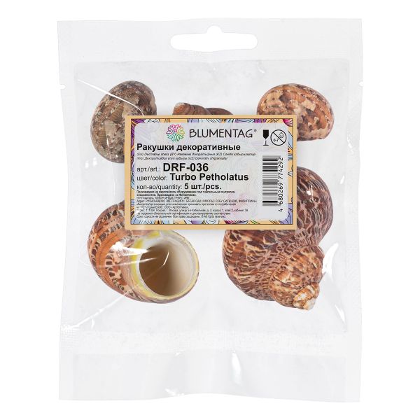 Ракушки декоративные, 5 шт, 3.8 см, Turbo Petholatus, Zlatka DRF-036