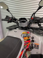 Квадроцикл PROMAX WILD 2.0 190 PRO (2025)