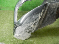 DSCN3690.JPG