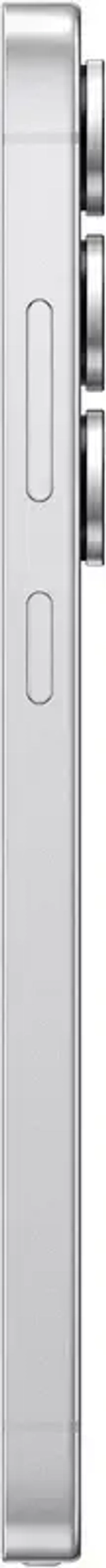 Samsung Galaxy S25 Ultra 12/1TB Titanium Whitesilver (Серебристый)