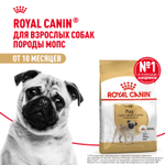 Royal Canin Pug Adult Мопс Эдалт Корм сухой для взрослых собак породы Мопс от 10 месяцев 1,5кг