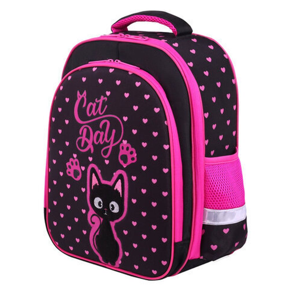 Ранец BRAUBERG KIDS STANDARD, 2 отделения, "Amazed cat", 36х28х14 см, 271386