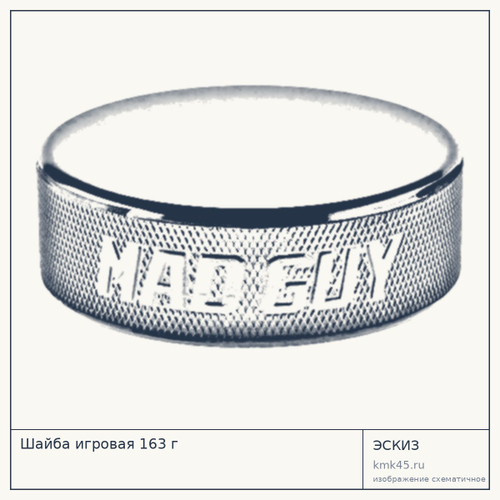 Шайба игровая 163 г — от 100 ₽