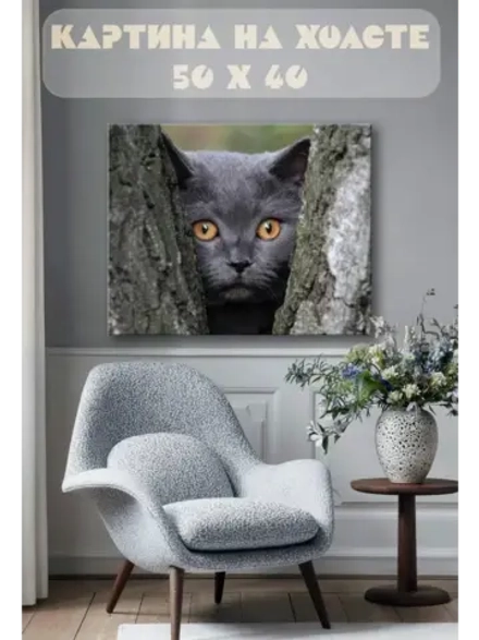 Картина на стену 40 X 50 Кот