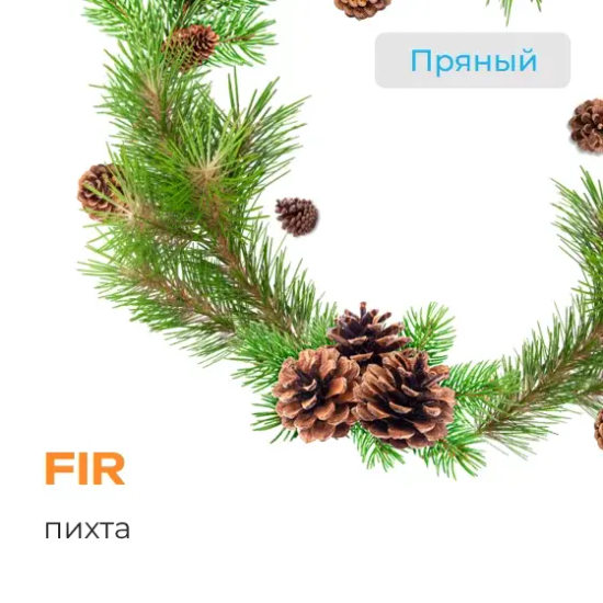 Element "Земля" (Fir ), 25 гр.