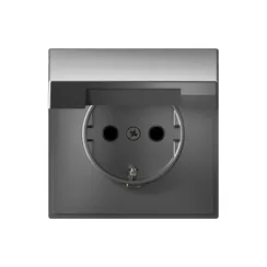 Розетка с крышкой Systeme Electric ArtGallery Сталь, самозажимные клеммы GAL000946S