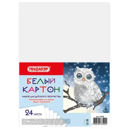 Картон белый А4, 24л. немелованный, Пифагор Совушка, в папке