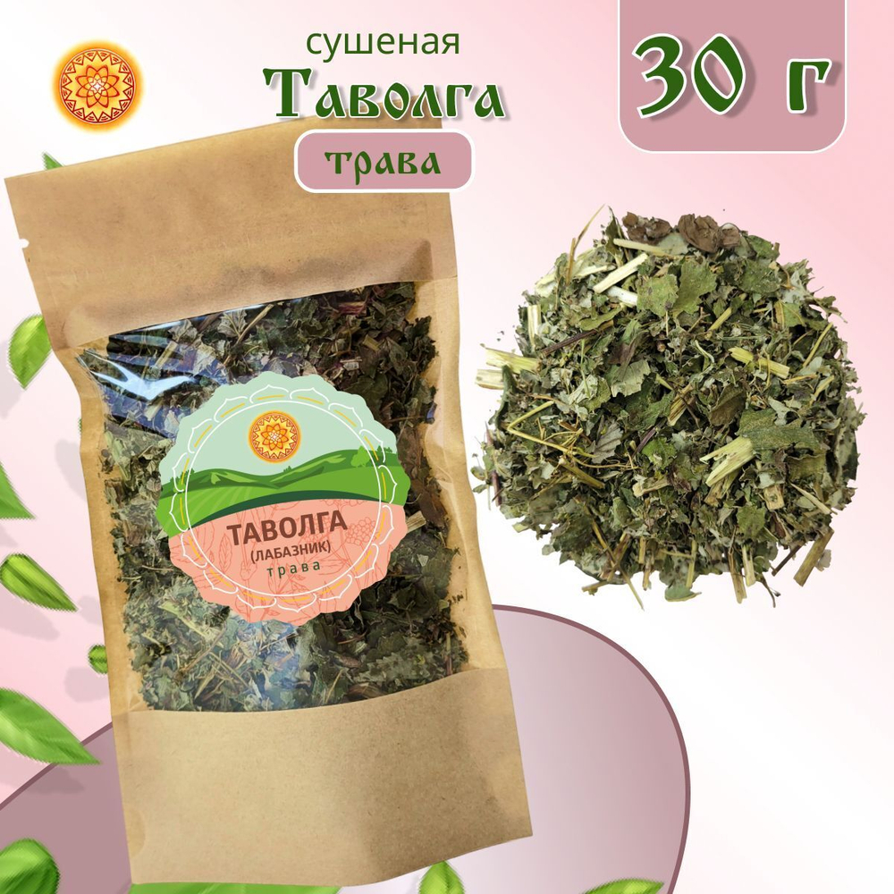 Таволга резаная (лабазник)