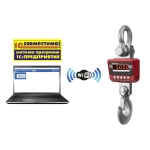Весы крановые ЕКМ-12000/2-W (морозостойкие c Wi-Fi)