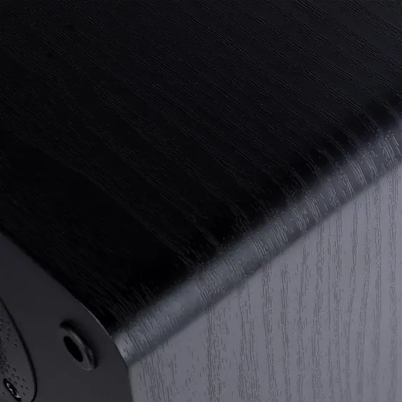Radiotehnika S-10NA Black Ash