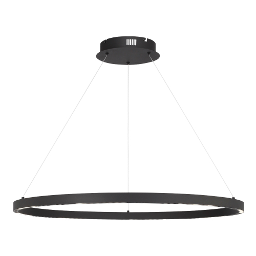 Подвесная светодиодная люстра ST Luce PARILLA SL6238.443.01