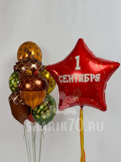 Сет ДЕНЬ ЗНАНИЙ 0029