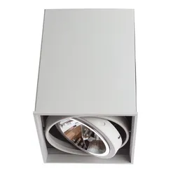 Точечный светильник Cardani Grande A5936PL-1WH Arte Lamp