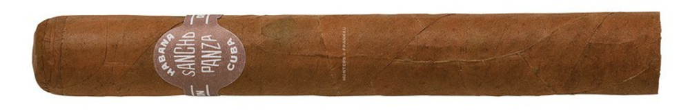 Sancho Panza Non Plus
