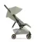 Прогулочная коляска Cybex Coya Style RG Sage Green