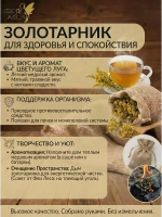 Золотарник (Золотая розга) для свечей