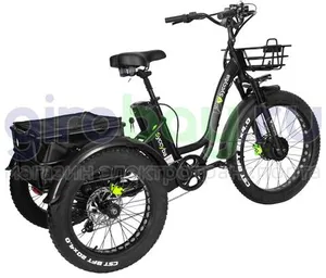 Электровелосипед Syccyba Trike 2.0 фото №11