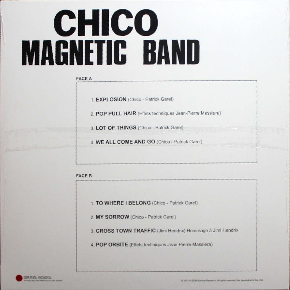 Chico Magnetic Band / Chico Magnetic Band (LP)