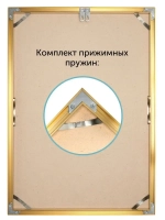 Алюминиевая рамка 50х70 см