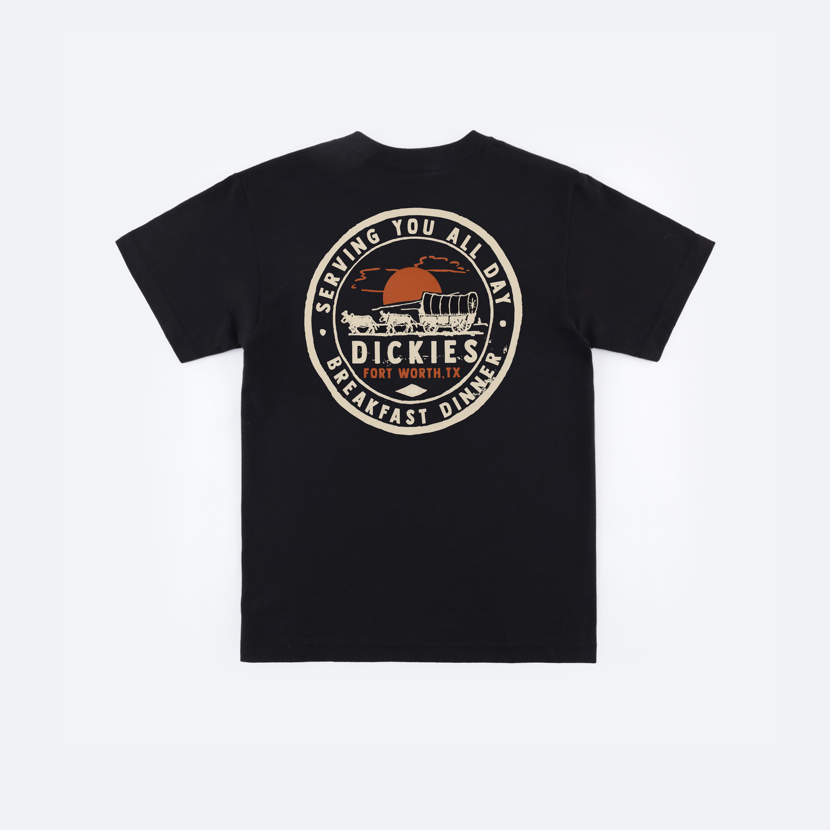 Футболка Dickies Greensburg Graphic T-Shirt (black) артикул: - купить в магазине Дайс