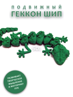 Геккон Шип